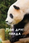 Мой друг панда (2024)